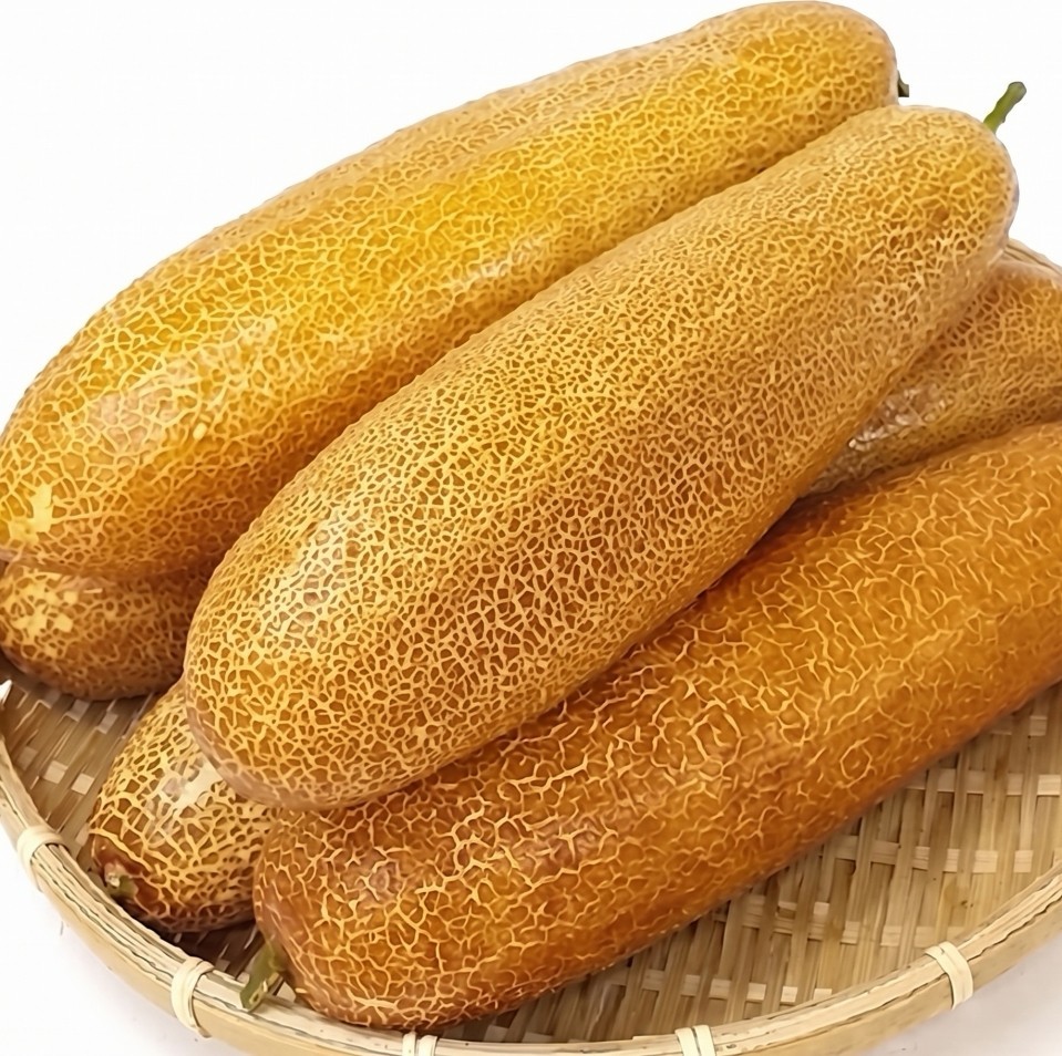 늙은 오이 노각. 기사 내용 토대로 AI툴 활용해 제작한 자료사진.