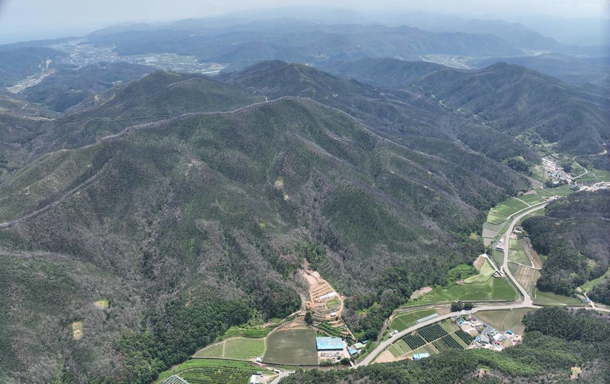 산림경영특구 3호 지정된 영덕군 영덕읍 화천리 일원/경북도
