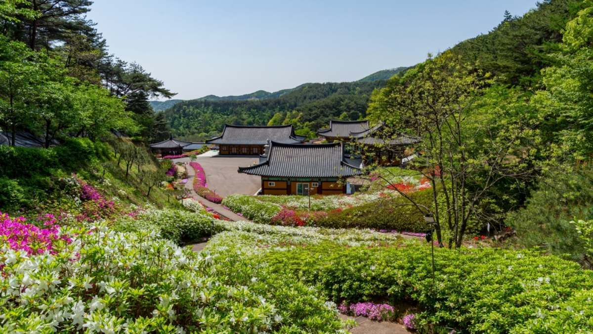 서울·제주 질린 외국인들… 요즘 대만 관광객들이 모여든다는 '이 지역'