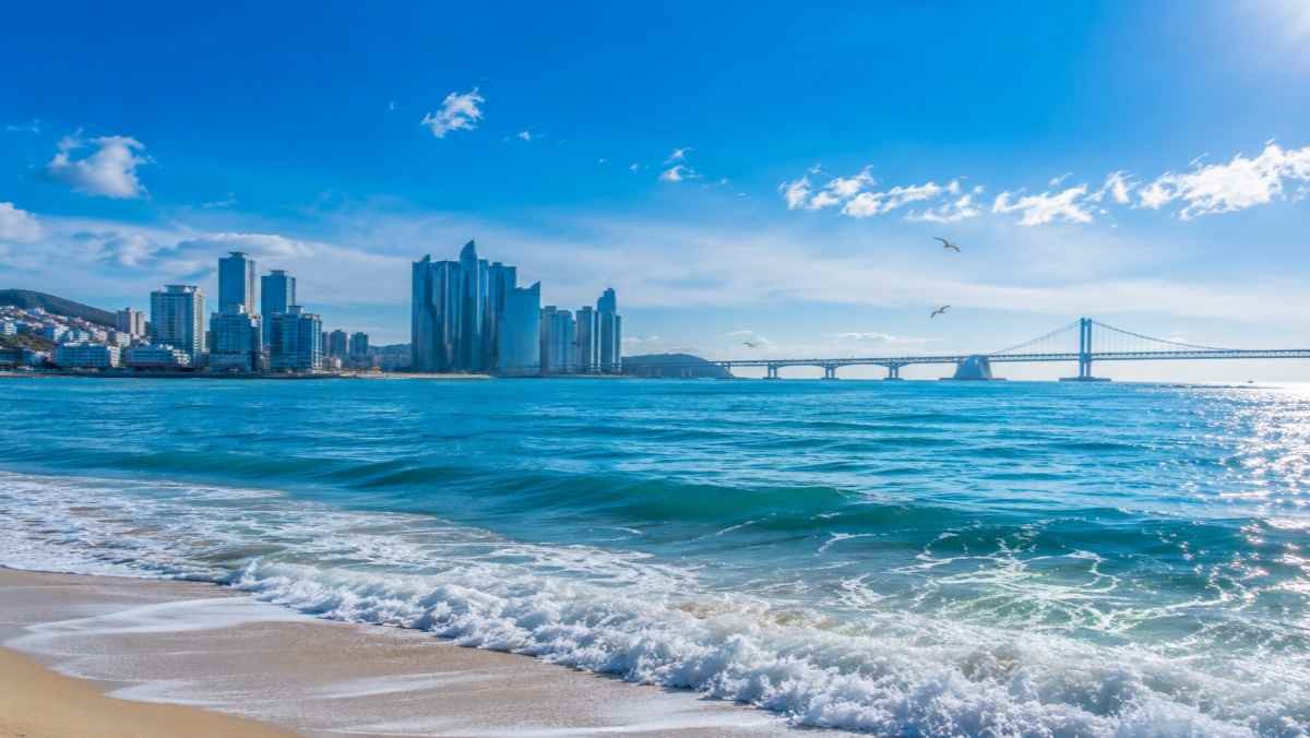 바다 이미지  / AI 생성 이미지