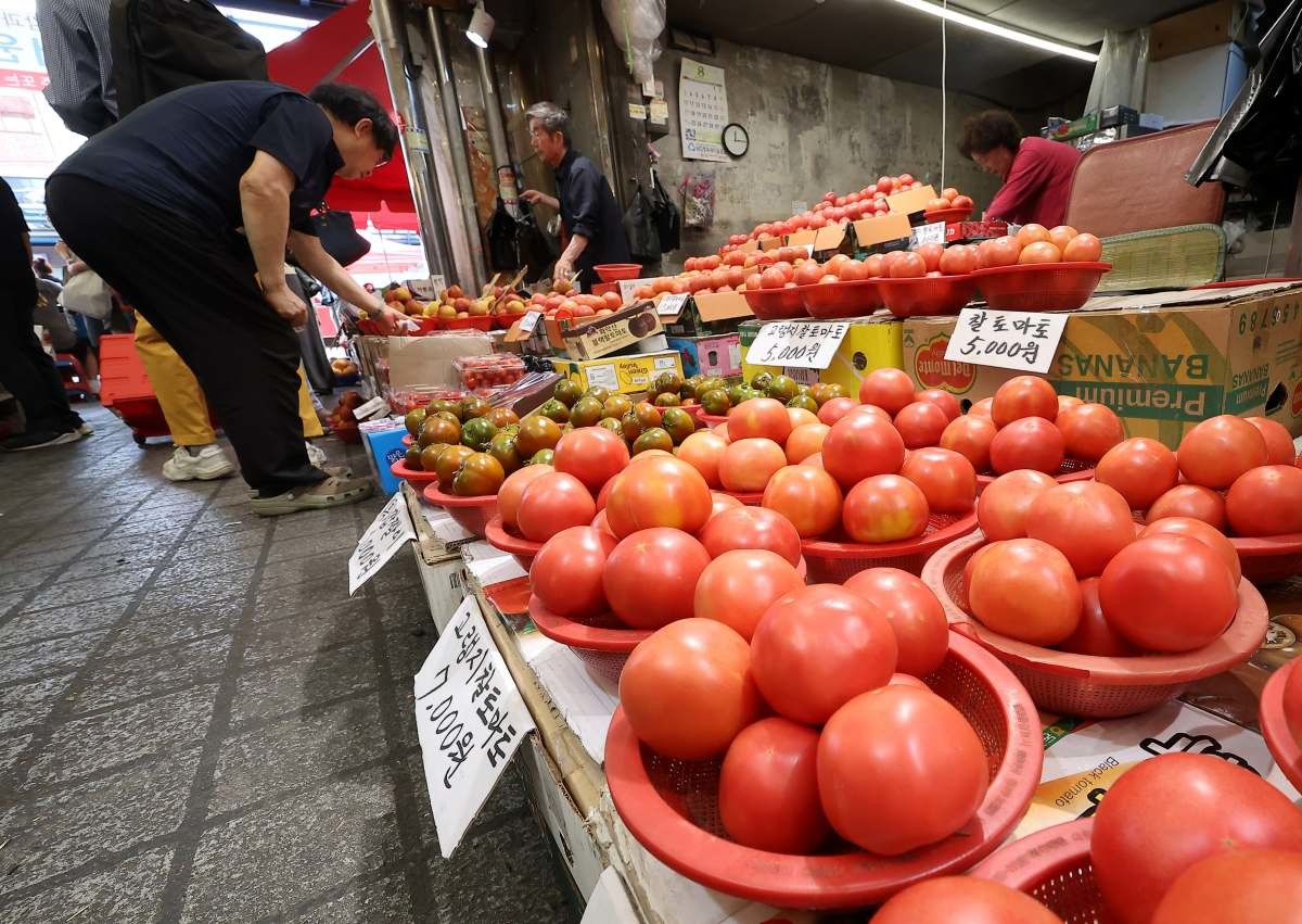 서울 동대문구 청량리종합시장에 토마토가 진열돼 있다. / 연합뉴스