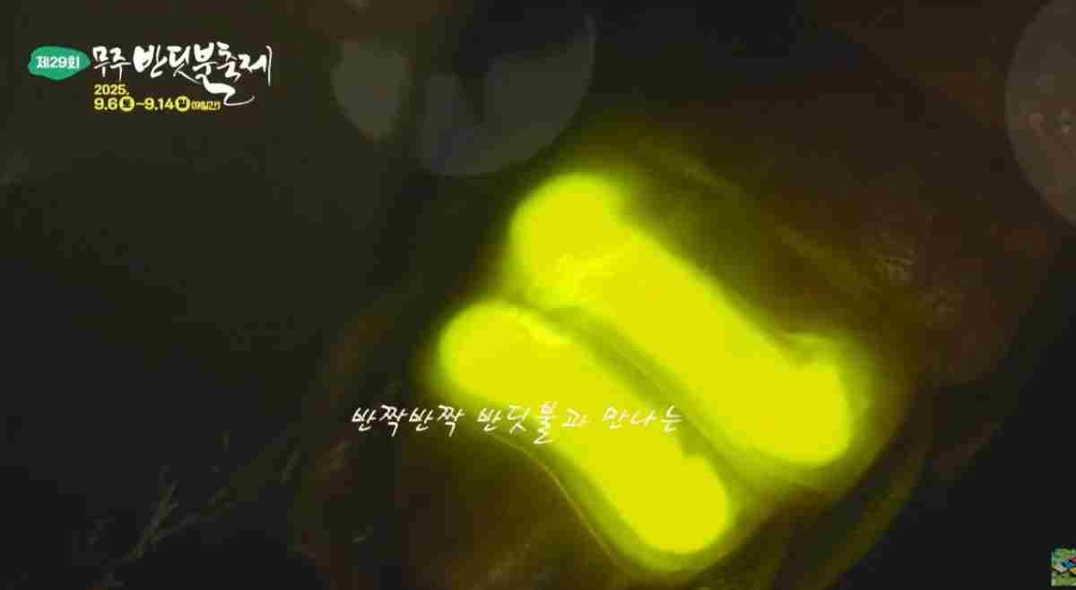 무주반딧불축제 홍보영상 / 유튜브 '무주반딧불축제'