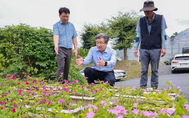 이달 3일 정용래 유성구청장과 유성구청 직원들이 외삼동 양묘장을 방문해 국화 생육 상태와 유성국화축제 준비 상황을 점검하고 있다./사진=유성구