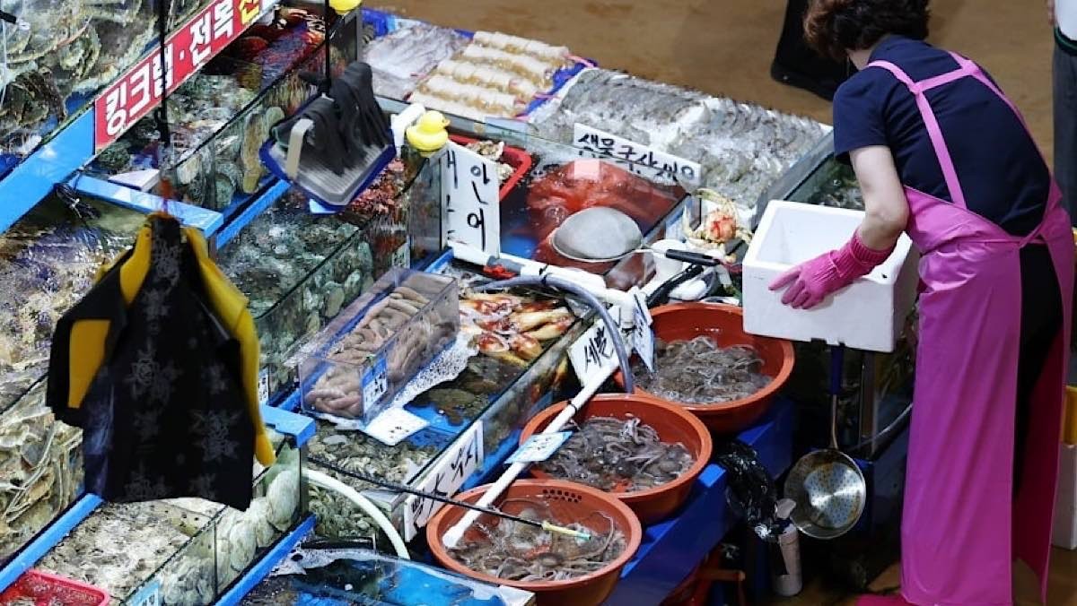 서울 동작구 노량진수산시장에 수산물이 진열돼 있다. / 뉴스1