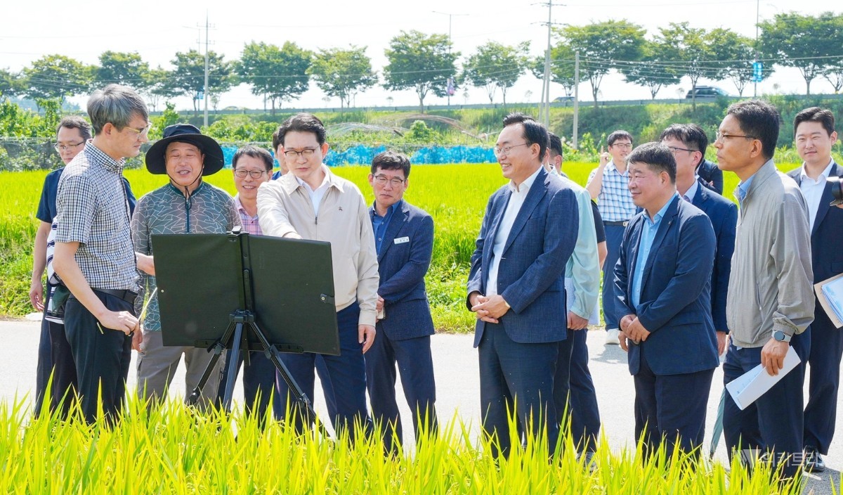윤병태 시장과 김종구 차관을 비롯한 관계자들이 배 재배 현황을 청취하고 있다. / 나주시