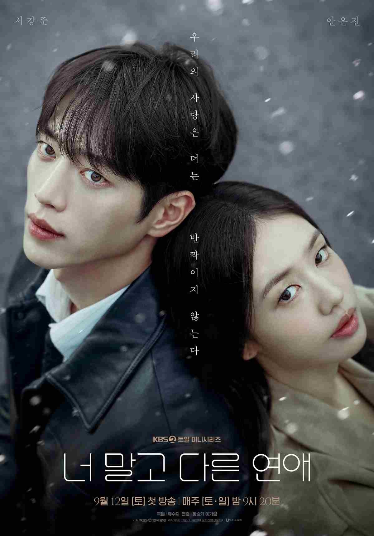 드라마 '너 말고 다른 연애' 공식 포스터 / KBS