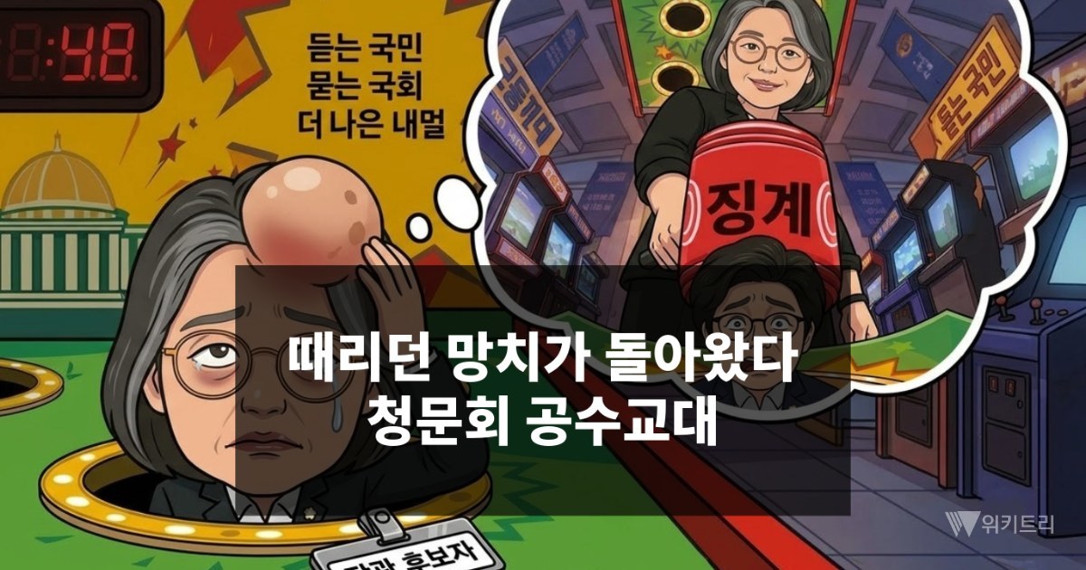 [위키만평] 때리던 망치가 돌아왔다 청문회 공수교대