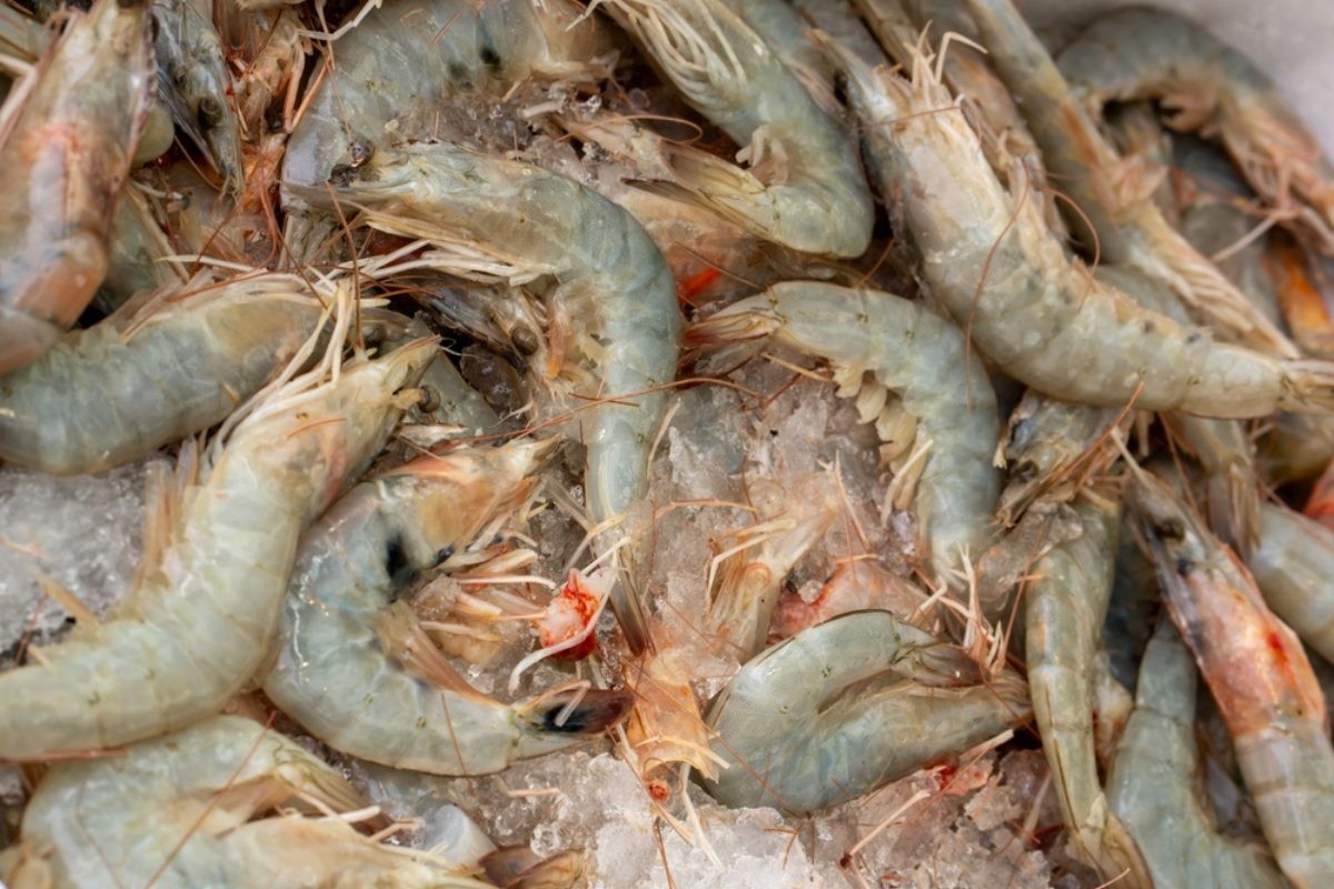 대하 자료사진. / LSP EM-shutterstock.com