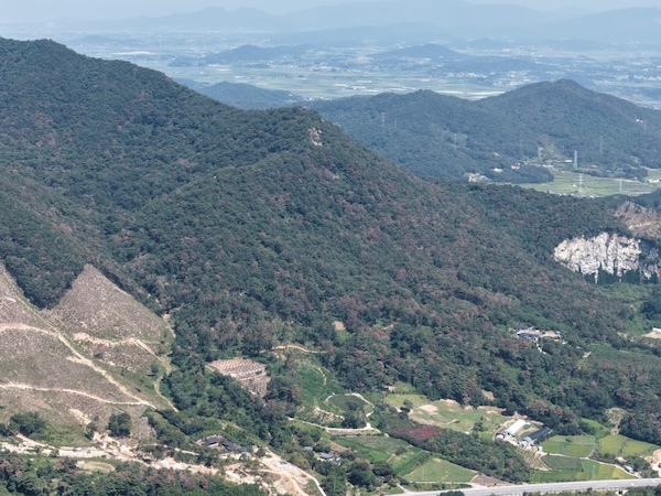 재선충 확산 막고 산림 회복…정읍시 하반기 방제 착수