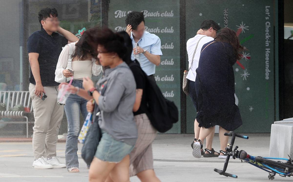 9일 전국에 강한 바람이 불고, 일부 동남권에는 10일 오전까지 시속 70㎞ 이상의 돌풍이 이어질 전망이다...사진은 기사와 무관한 자료 사진 / 뉴스1