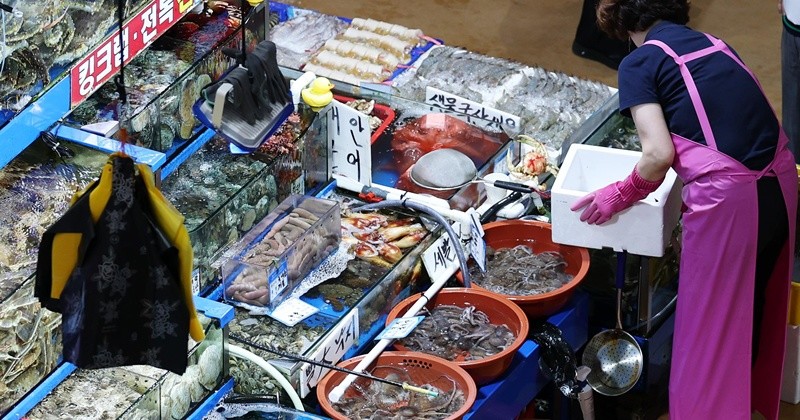 기사의 이해를 돕기 위한 AI 생성 이미지