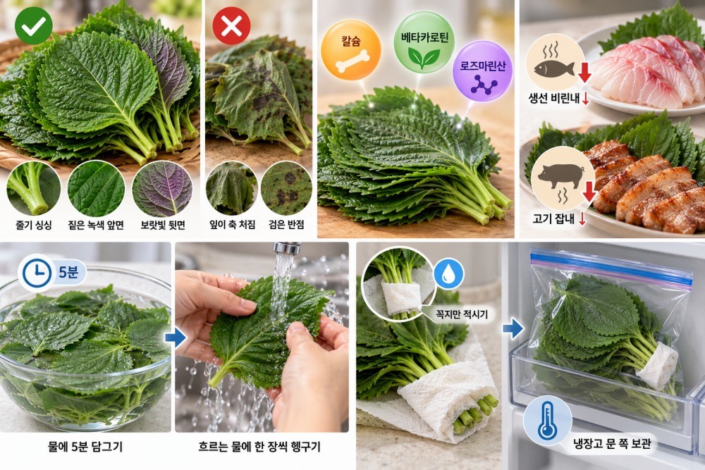 기사 본문을 바탕으로 정리한 자료 이미지. AI툴을 활용해 생성됐습니다.