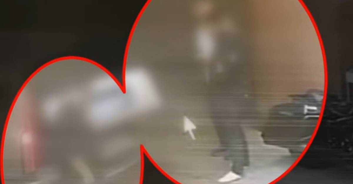 '냉동창고 살인' 카페 사장 체포 순간...CCTV가 공개됐는데