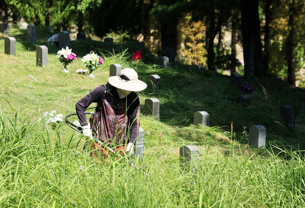 벌초를 하는 모습. 기사 이해를 돕기 위한 자료 사진. 행정안전부는 예초기 안전사고 예방에 각별히 주의해달라고 최근 당부했다. 행정안전부는 예초 작업 전 돌이나 나뭇가지, 쓰레기 등을 치우고 작업 중에는 반경 15m 이내에 다른 사람이 접근하지 않도록 해야 한다고 당부했다. 작업할 때는 안면보호구나 보안경, 무릎보호대, 안전화, 안전모, 장갑 등을 착용하고 긴 옷을 입어야 한다. 또 돌 등 이물질과 충돌했을 때 튀어 오를 위험이 높은 이도날(날이 2개인 칼날) 사용은 자제하고 원형날이나 끈날 등을 사용하는 것이 좋다고 설명했다. 칼날에 이물질이 끼었을 때는 반드시 전원이나 동력을 차단한 뒤 장갑을 낀 손으로 제거해야 한다고 행정안전부는 당부했다. / 연합뉴스