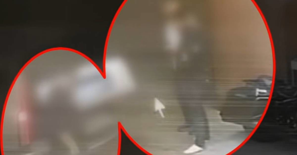 카페 냉동창고 살해범 체포 당시 CCTV / 채널A News