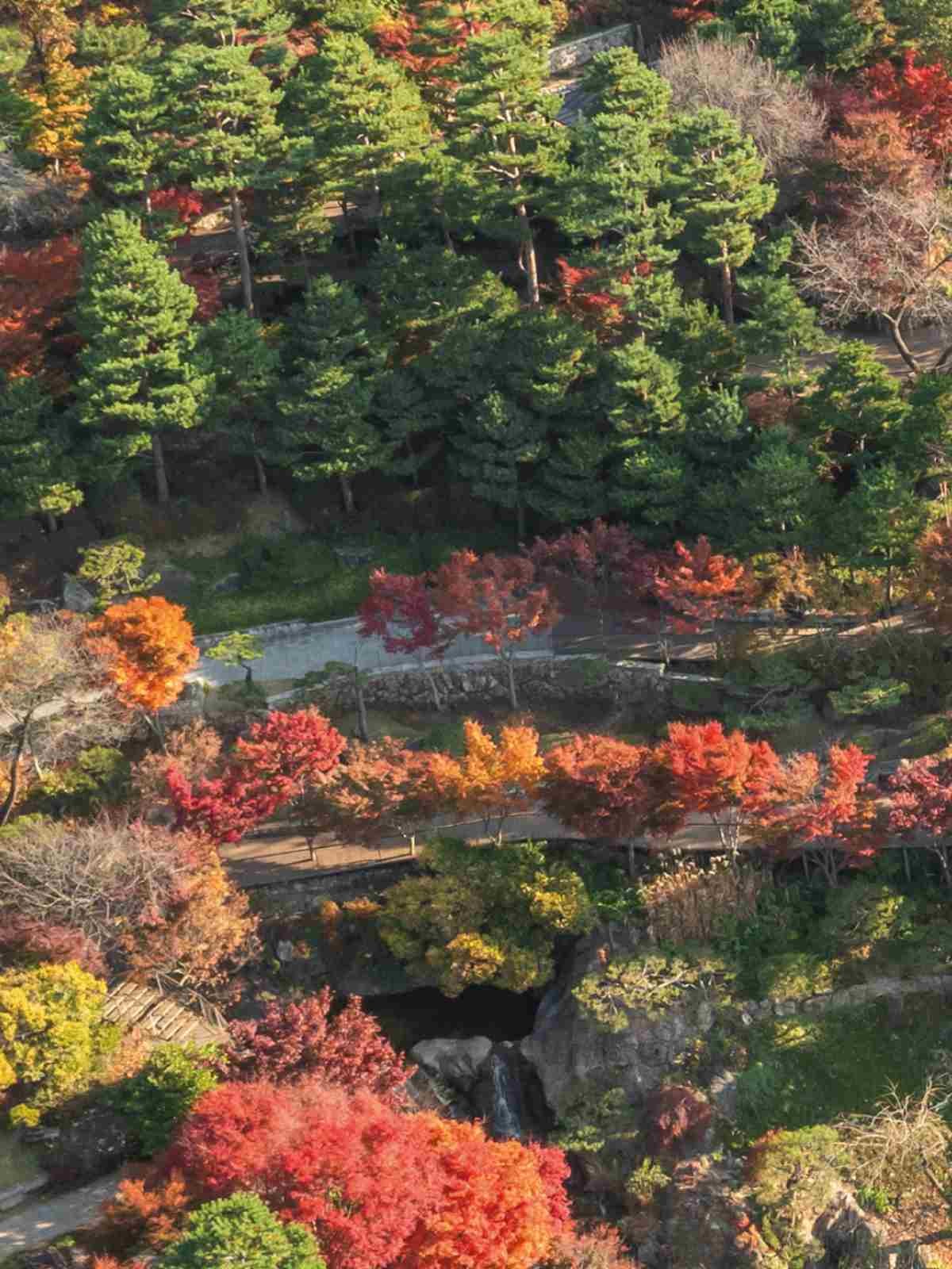 화담숲 풍경 / 화담숲 인스타그램