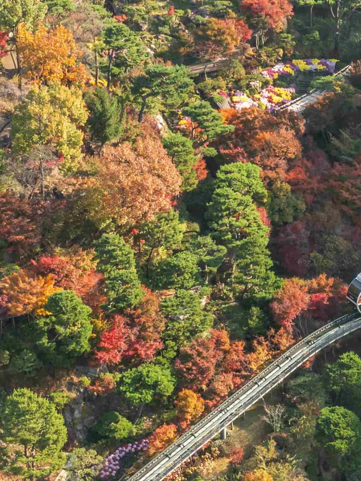 단풍으로 물든 화담숲 / 화담숲 인스타그램