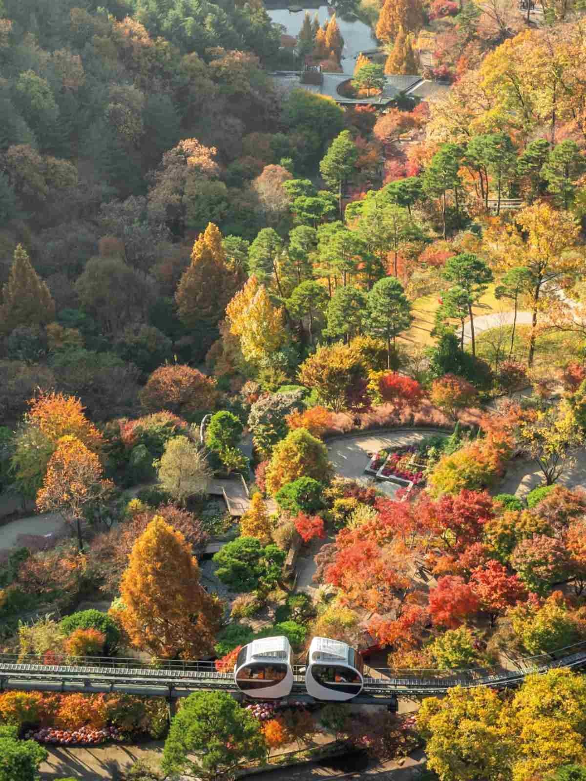 화담숲 모노레일 / 화담숲 인스타그램