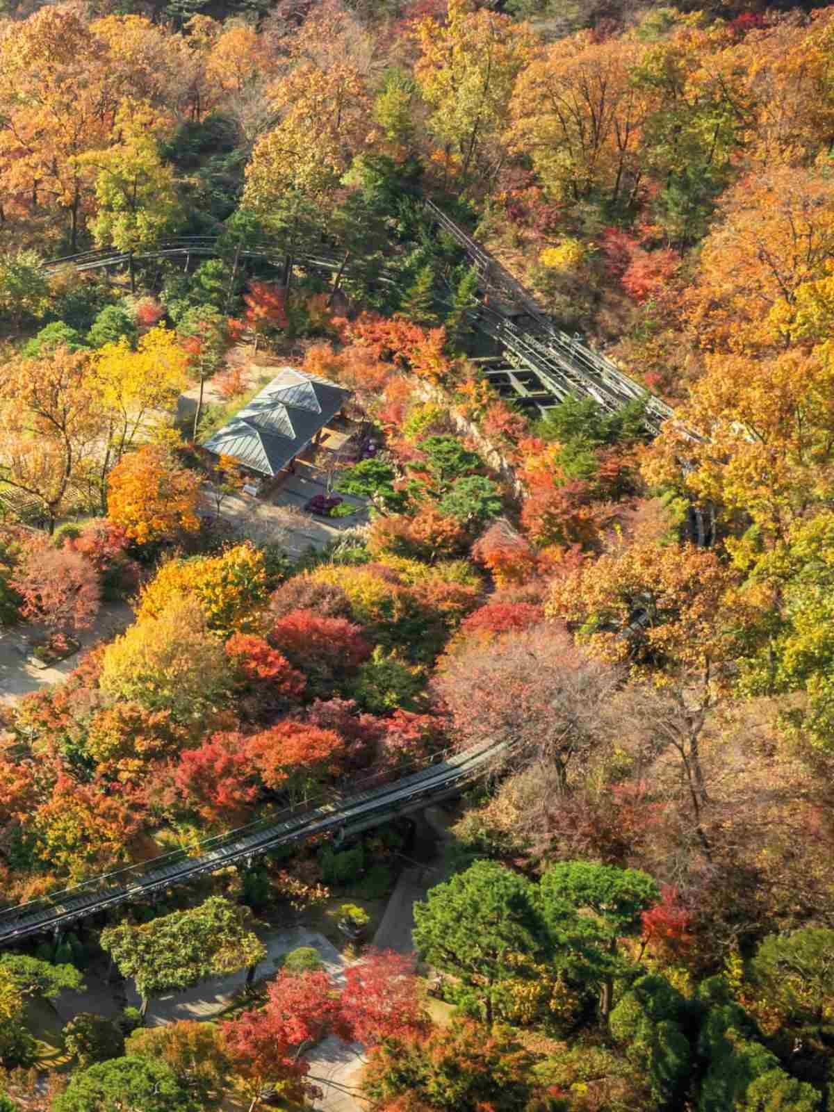 화담숲 / 화담숲 인스타그램