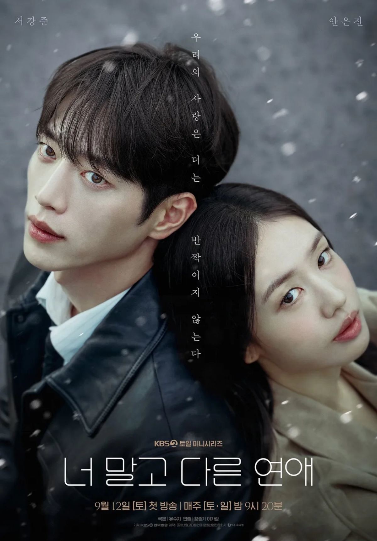 드라마 '너 말고 다른 연애' 포스터 / KBS