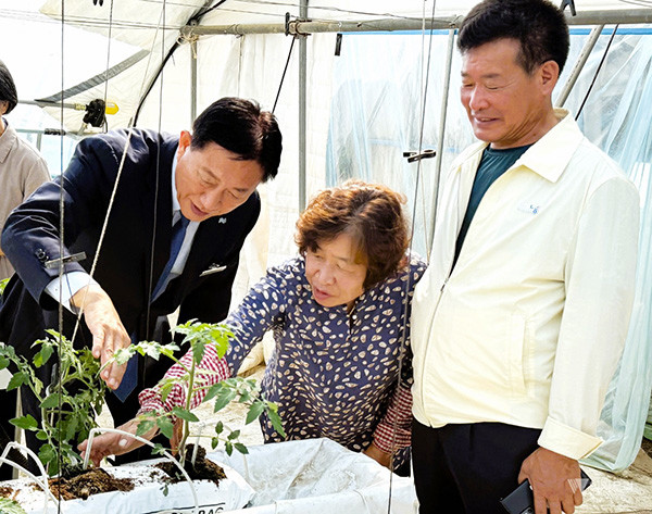 김한종 장성군수(왼쪽)와 고재진 심계농협 조합장(오른쪽)이 친환경 농가로부터 재배 방법에 관한 설명을 듣고 있다. / 장성군