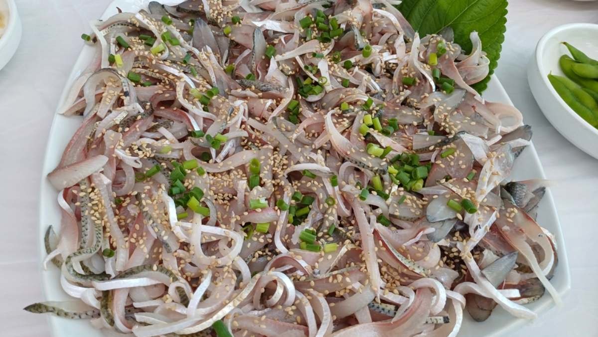 전어회 자료사진. / mago11-shutterstock.com