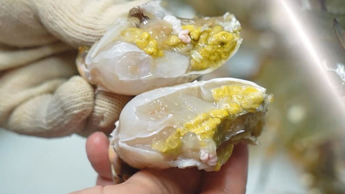 “신박하다”…지금 제일 싼 '햇꽃게', 역대급으로 맛있게 먹는 방법은?