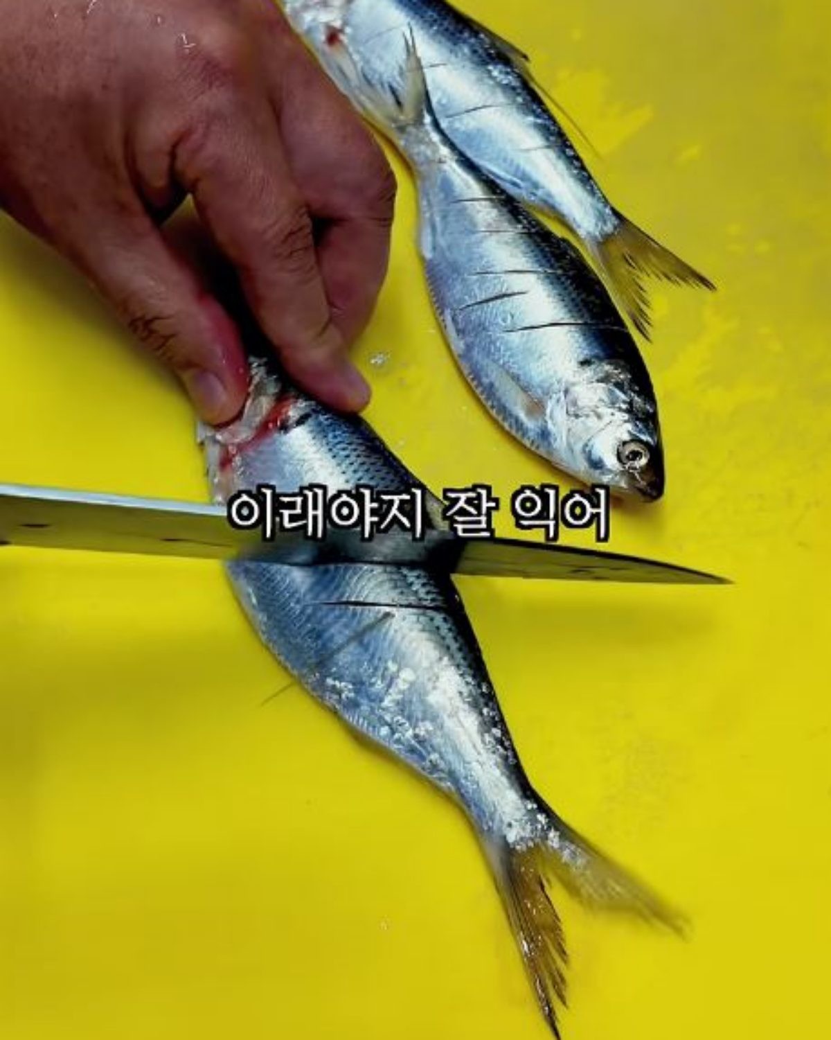 전어에 칼집을 내는 모습. / 유튜브 '수부해TV subuhae'