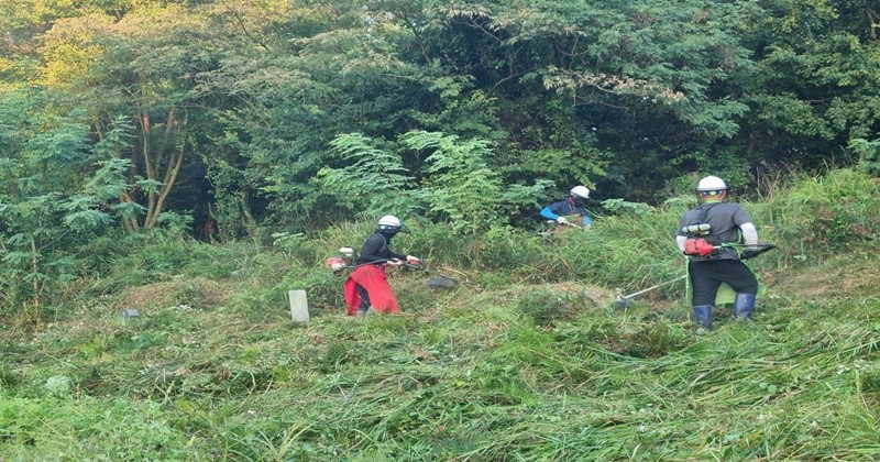부안군