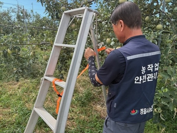 과수 농가 사다리 추락사고 예방나서 / 정읍시