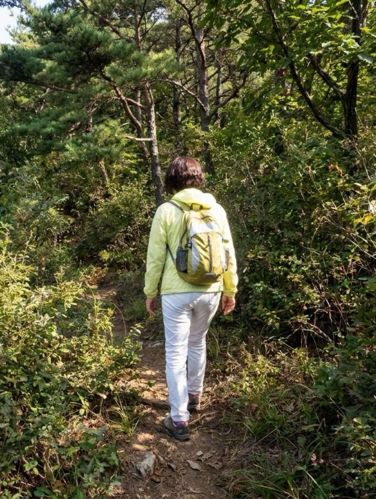 수풀이 우거진 곳에서 밝은 색 옷을 입은 사람이 주의 깊게 주변을 살피며 걷는 뒷모습. 기사 내용 토대로 AI툴 활용해 제작한 자료사진.