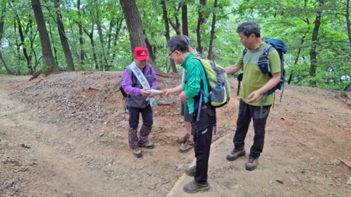 무심코 했다간 큰일...서울 강남구, 11월까지 '이 행위' 특별 단속
