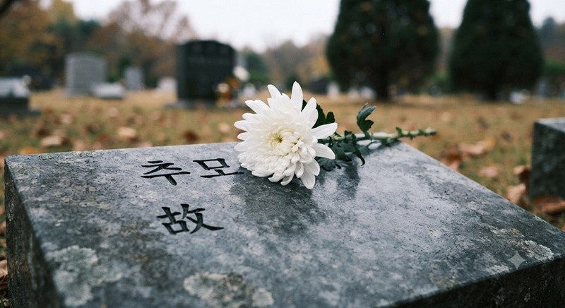 기사의 이해를 돕기 위한 AI 생성 이미지