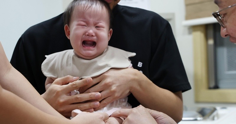 기사의 이해를 돕기 위한 사진 / 뉴스1