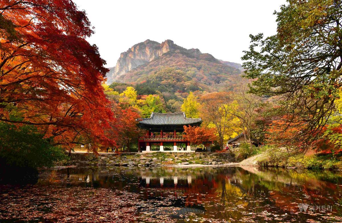 추석 가족 나들이, 전남광주 명소로 떠나요
