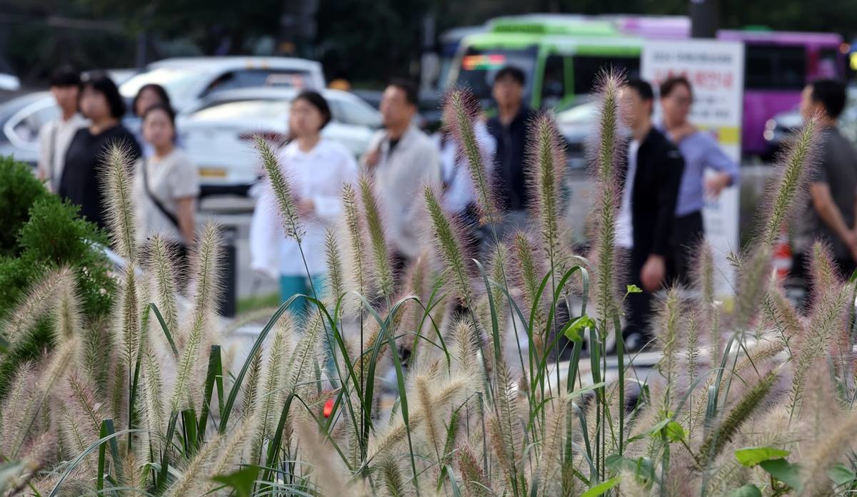 시민들이 긴소매 옷을 입고 이동하고 있다 / 뉴스1