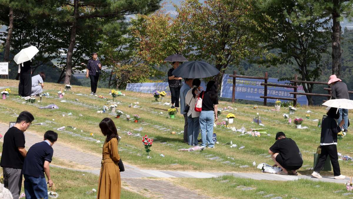 “고향 안 가요” 명절 아침 20대가 향한 '뜻밖의 장소'