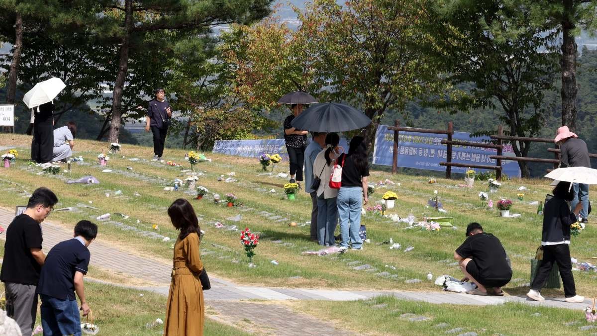 추석 첫날 이어지는 성묘객 발길 / 연합뉴스