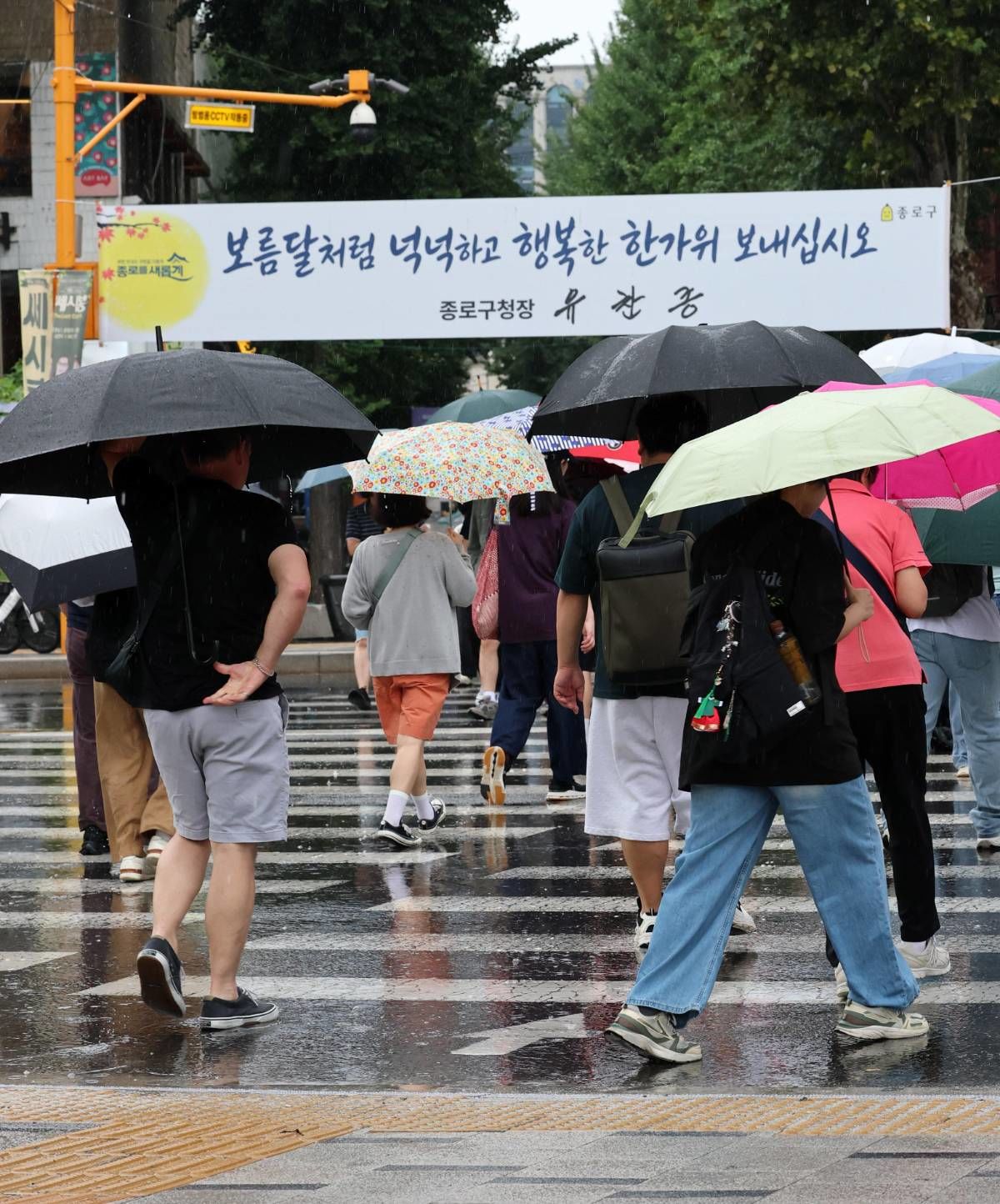 비가 내리고 있는 25일 오후 서울 종로구 인사동 입구 횡단보도에서 우산을 쓴 시민들이 발걸음을 옮기고 있다.  / 뉴스1