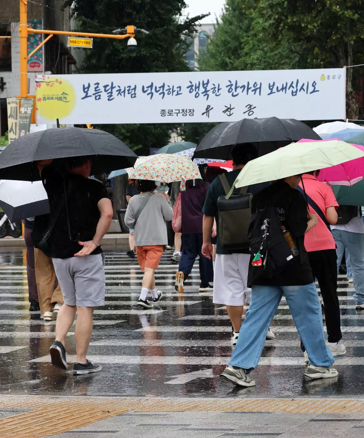 비가 내리고 있는 25일 오후 서울 종로구 인사동 입구 횡단보도에서 우산을 쓴 시민들이 발걸음을 옮기고 있다.  / 뉴스1