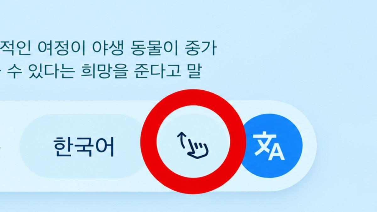 갤럭시 번역 기능 쓰면서 '이 버튼' 안 누르면 반만 쓰고 계신겁니다