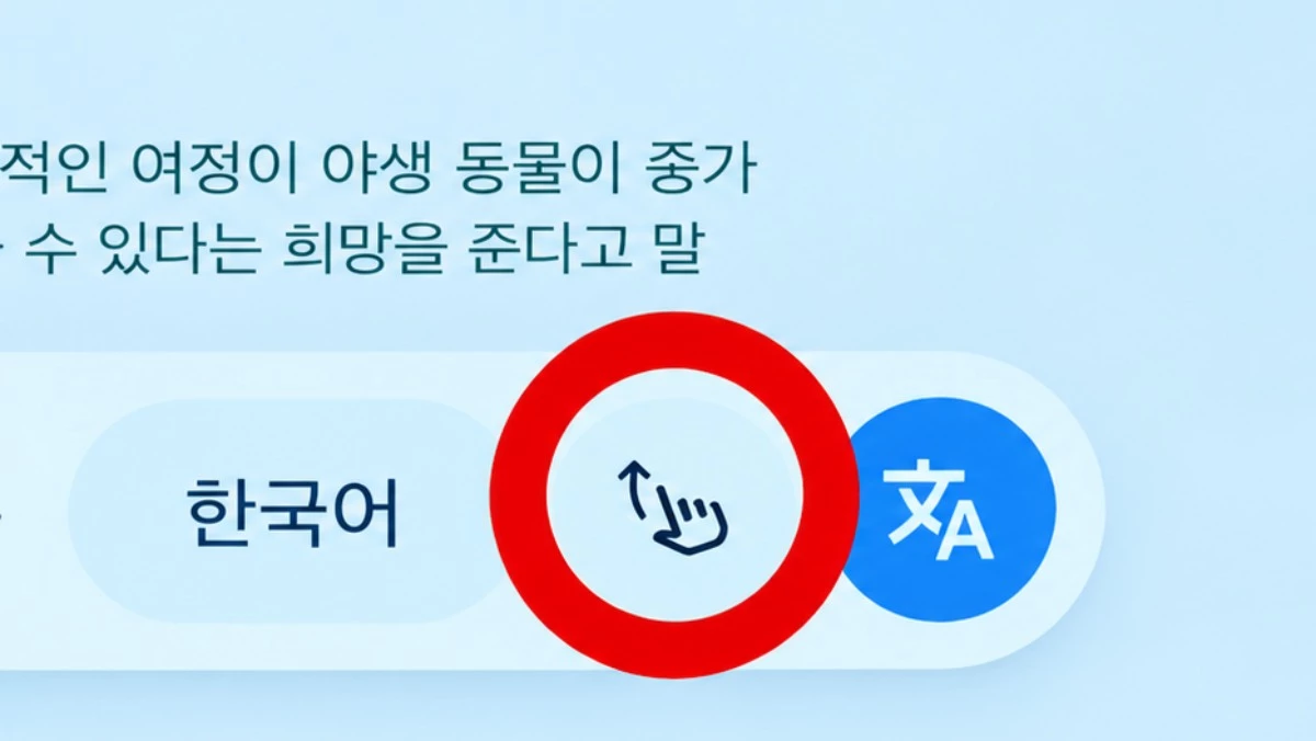 유튜브 채널 '리꼬 Rico' 영상 장면 중 일부를 AI로 재생성한 이미지. (실제와 차이가 있을 수 있음을 알립니다.)