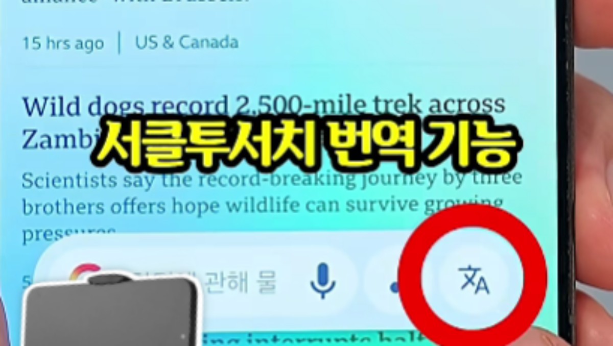 유튜브 '리꼬 Rico'