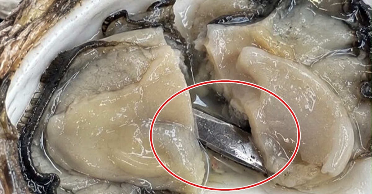 굴 먹다 식도 뚫릴 뻔... 5㎝ 칼날 서빙한 을지로 유명 오이스터바
