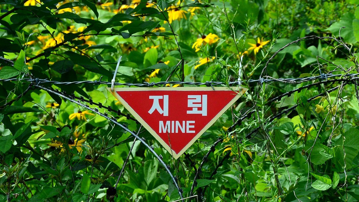 “목함지뢰와 유사했다” 장병 진술…현장에선 미폭발 지뢰도 목격
