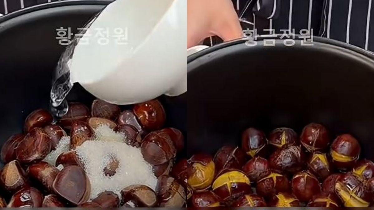 유튜브 '황금정원'