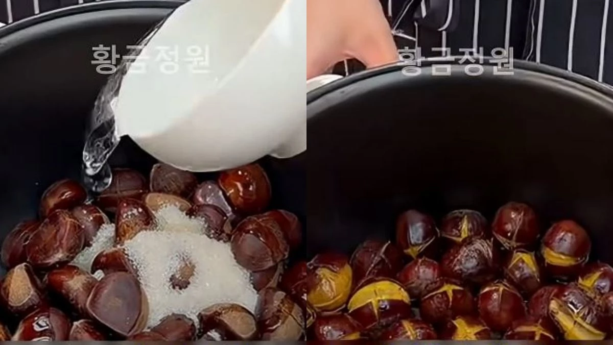 유튜브 '황금정원'