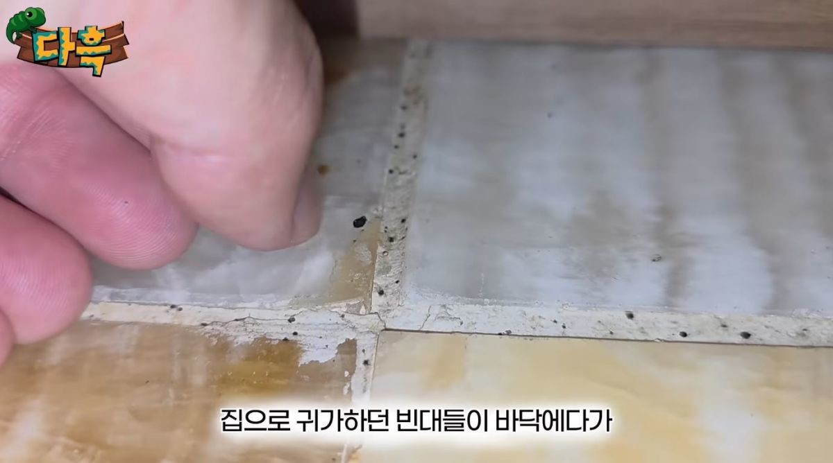 유튜브 '다흑'