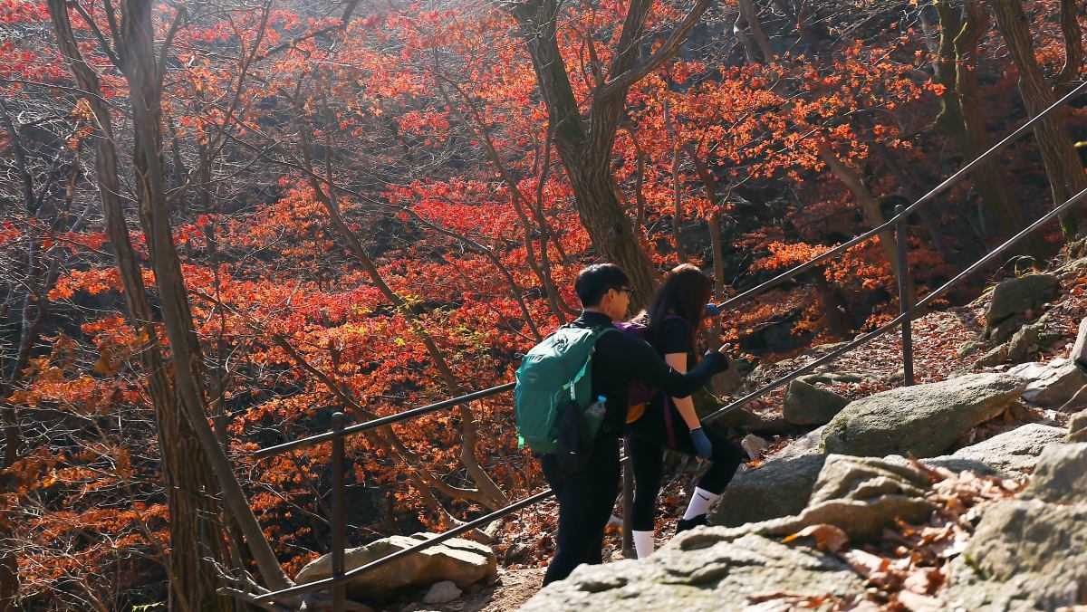 최대 5000만 원 내야 할 수도… 등산할 때 절대 하면 안 되는 '이 행위'