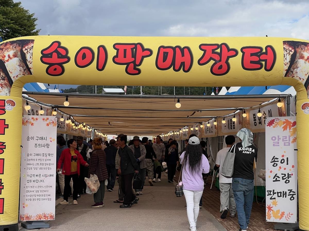 지난해 판매장터 모습